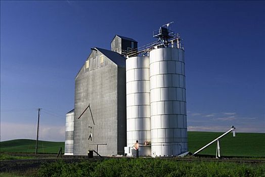 谷仓,地点,惠特曼县,华盛顿,美国