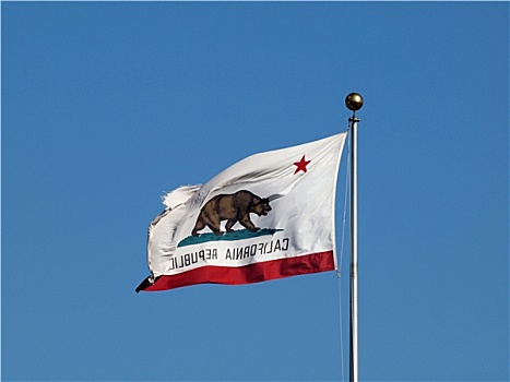 破旧,加利福尼亚共和国,旗,飘扬