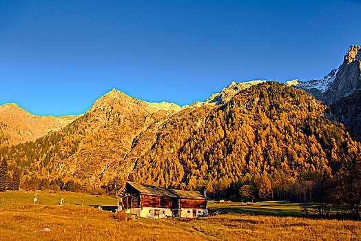 山景,小屋,秋天,道路,靠近,瑞士,欧洲
