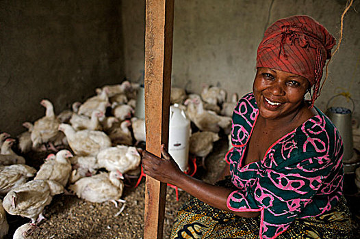 38岁,女人,乡村,烘烤用鸡,鸡,利润,家禽,防疫,疾病