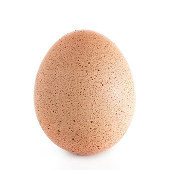 一个,鸡蛋,隔绝,白色背景