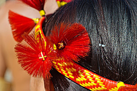 女人,部落,传统,头饰,犀鸟,节日,印度,亚洲