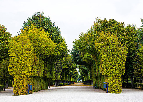 凡尔赛宫的林荫道