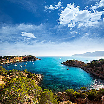 伊比萨岛,港口,风景,巴利阿里群岛,西班牙