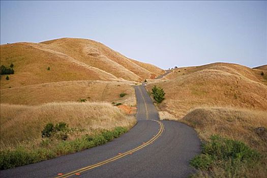 俯拍,公路,荒野