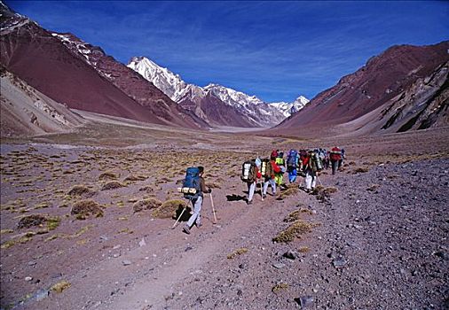 阿根廷,跋涉,向上,山谷,攀升,阿空加瓜山,山,南美,印加