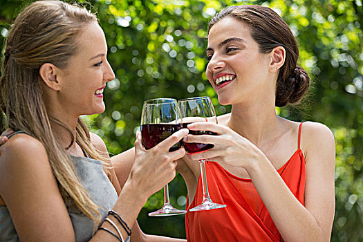 微笑,女性朋友,祝酒,葡萄酒杯,餐馆,美女,朋友