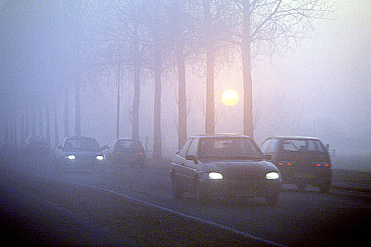 汽车,雾状,道路