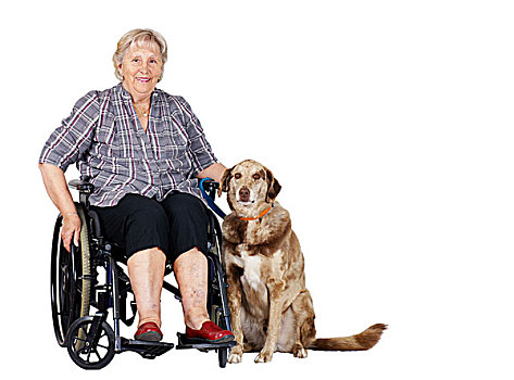 老年,女人,轮椅,狗