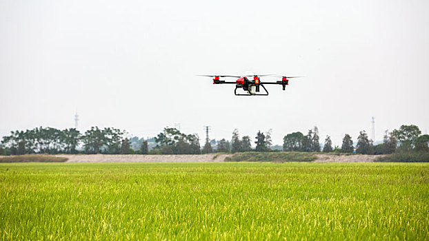 农业无人机水稻喷洒作业