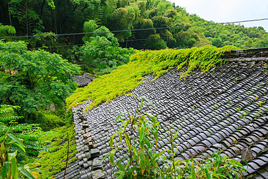 鄞州,横溪镇,横溪,俞山古村,古村,山村,老房子,古建筑