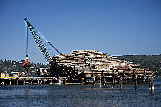 俄勒冈,湾,木材业,河,起重机,举起,原木,码头,使用,只有