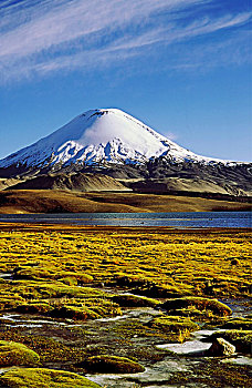 火山,智利,局部,拉乌卡国家公园,高原