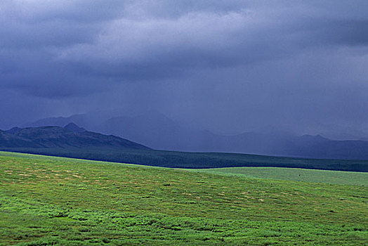 美国,阿拉斯加,德纳里峰国家公园,雨
