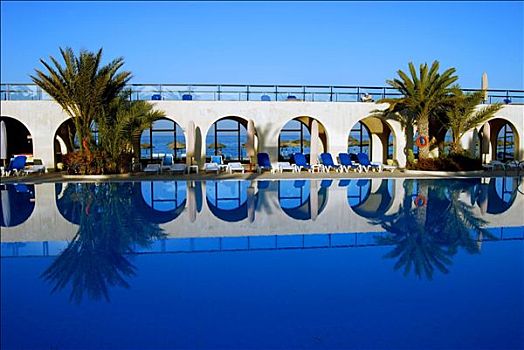 反射,拱廊,棕榈树,水上,表面,游泳池,突尼斯