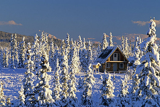 小屋,靠近,阿拉斯加,冬天,景色