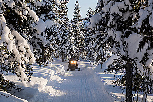 人,雪地车,瑞典