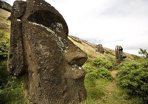 复活节岛石像,拉诺拉拉库,复活节岛,智利