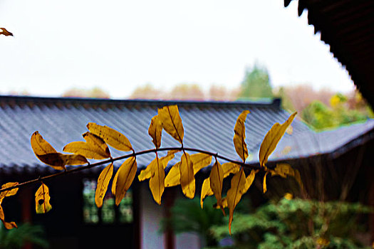 南京鸡鸣寺