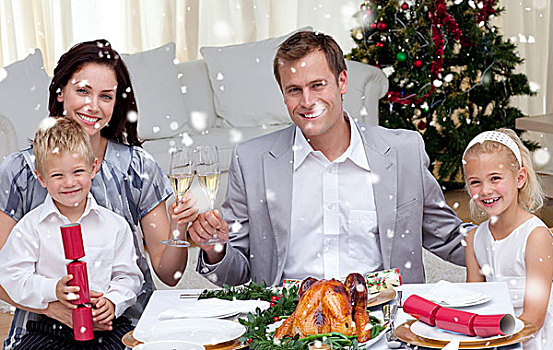 父母,祝酒,葡萄酒,圣诞晚餐