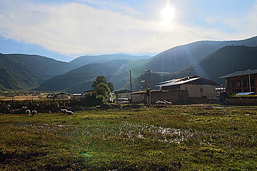 草原