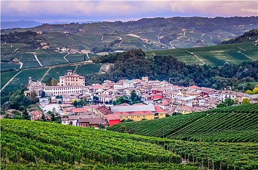 风景,巴罗洛葡萄酒,乡村,意大利