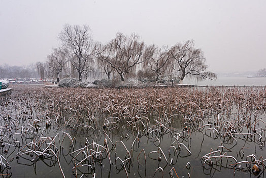 航拍雪后的济南趵突泉公园
