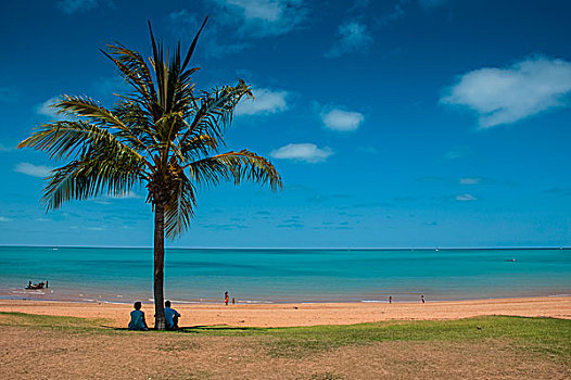旅游,下面,棕榈树,城镇,海滩,西澳大利亚州
