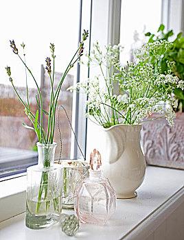 嫩枝,薰衣草,旧式,玻璃瓶,白色,瓷瓶,西洋蓍草,窗台