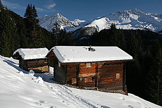 小村庄,冬天,远足,小路,斯堪费格,山谷,瑞士,欧洲