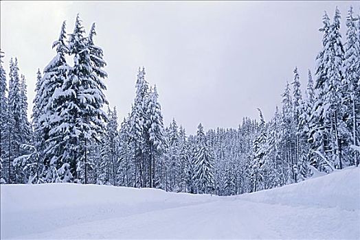 火山湖国家公园,俄勒冈,美国