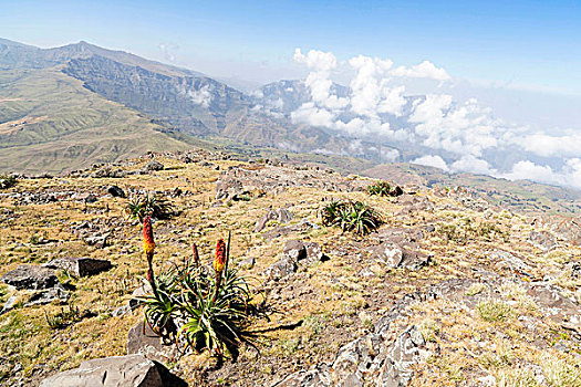 风景,山,国家公园,埃塞俄比亚