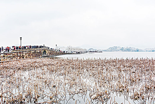 杭州西湖雪景断桥残雪