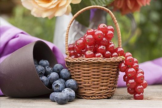 蓝莓,广口容器,红醋栗,篮子,桌上