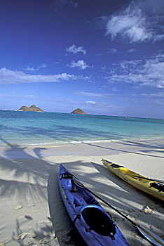 美国,夏威夷,瓦胡岛,皮划艇,白色背景,沙滩