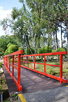 红色,桥,中式花园