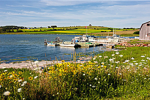 渔船,捆绑,码头,法国河,爱德华王子岛,加拿大