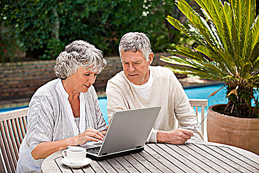 退休,伴侣,工作,笔记本电脑