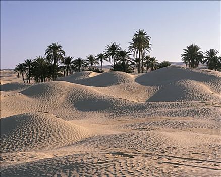沙丘,东部大沙漠,杜兹