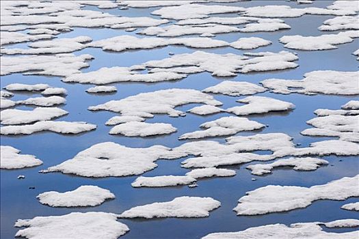 浮冰,斯匹次卑尔根岛,挪威
