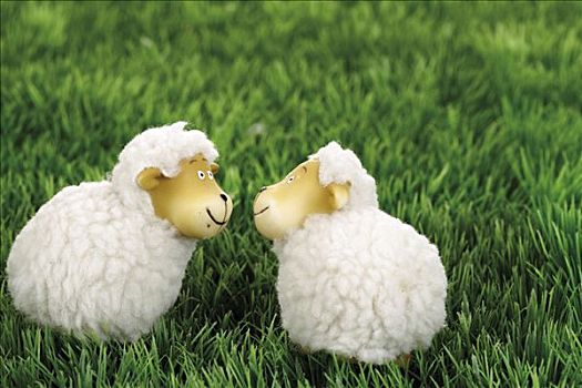 两只,羊,草地