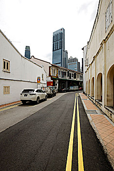 新加坡,中国城