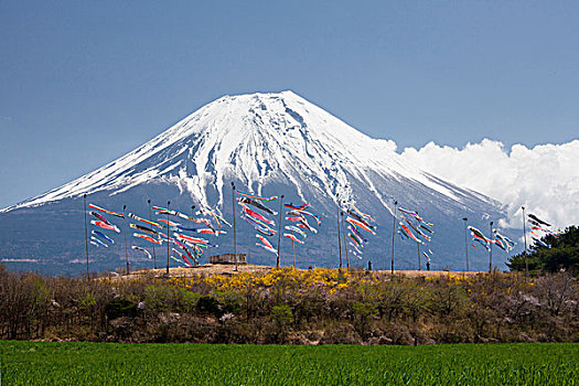 日本,鲤帜,孩子,节日,富士山