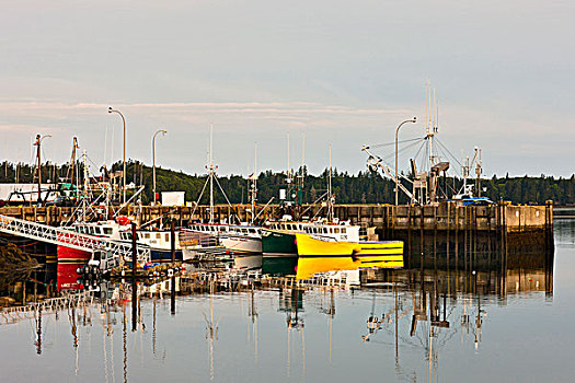 渔船,捆绑,码头,新斯科舍省,加拿大