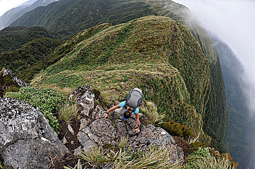俯拍,女性,远足,攀登,向上,山,山脊,新西兰