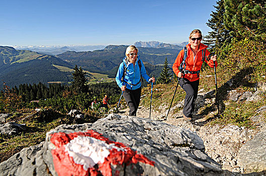 女性,远足者,走,山脊,巴伐利亚,德国,欧洲