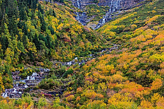 彩色,秋天,色调,瀑布,冰川国家公园,蒙大拿,美国,大幅,尺寸