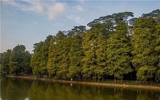 广州2022年暖冬的天河公园美景