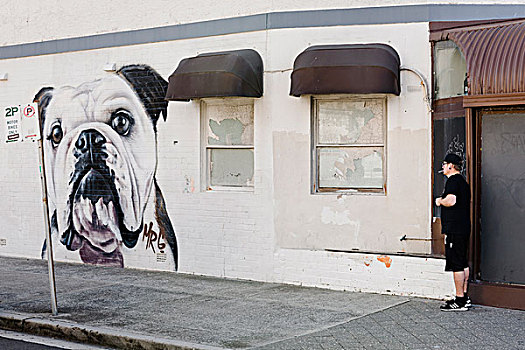 街头艺术,区域,悉尼