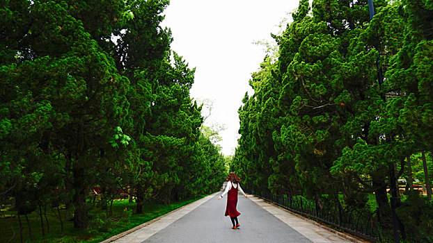 一个女孩在一条穿过松树林的路上开心地转圈